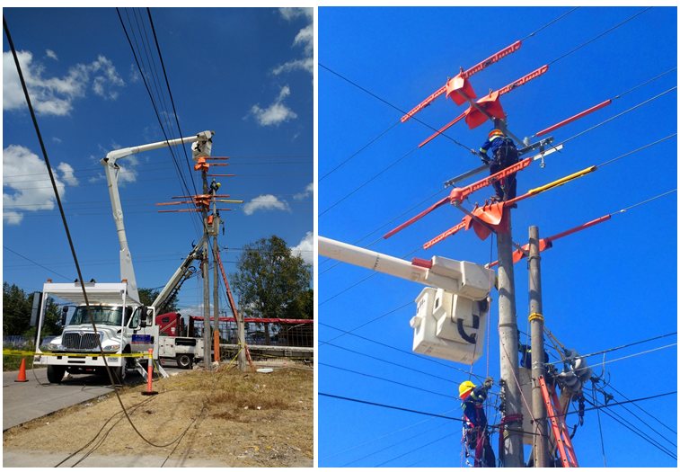 Mantenimiento de redes de distribución eléctrica